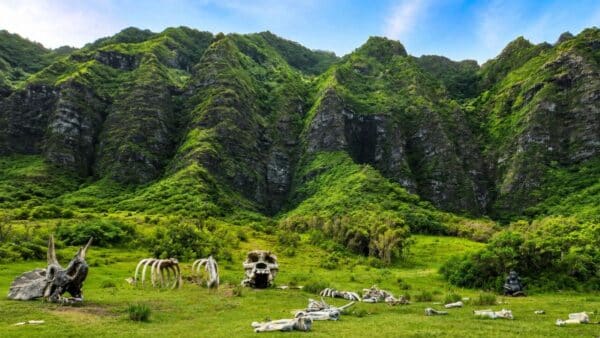 Jurassic Bone yard Kualoa Ranch Hawaii