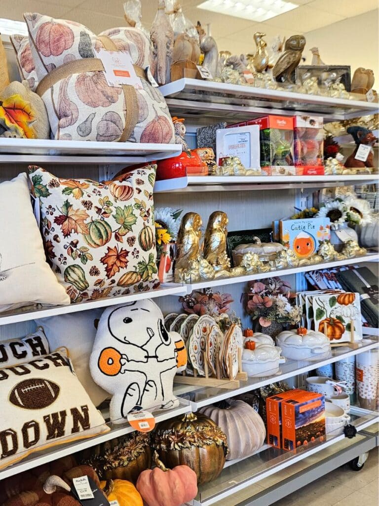 Marshalls seasonal decor for fall 