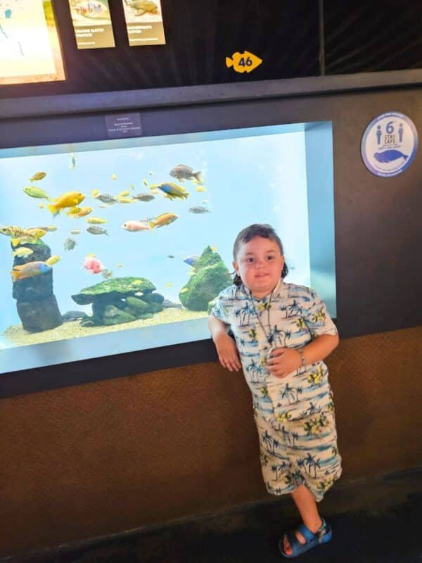 Best things to do for Family visit the Waikiki Aquarium
