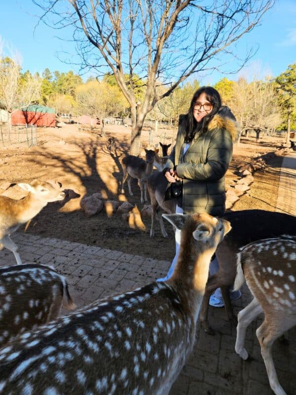 Deer farm Williams AZ