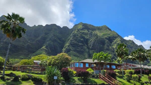 View of Kualoa Ranch at Jurassic Valley