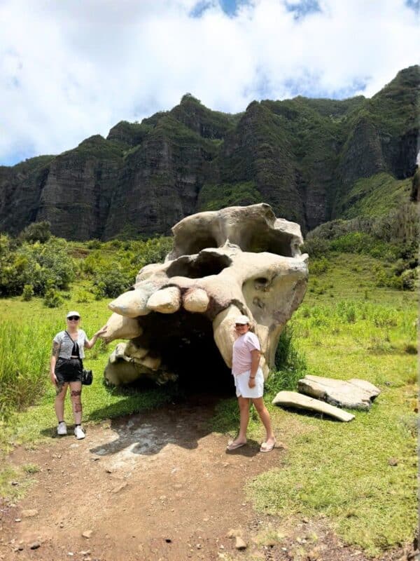 Skull at bones graveyard set at Jurrassic Valley at Kualoa Ranch